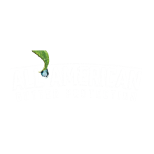 All American Gutter Protection